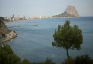 Venta - Apartamentos - 
