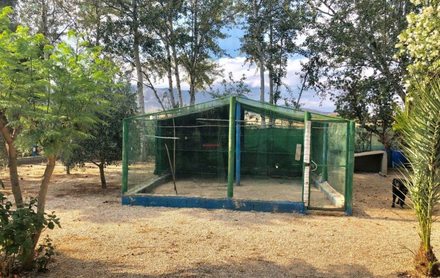 Venta - Villa - Crevillente - Crevillent