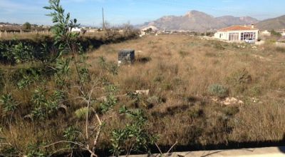 Land - Sale - Hondon de los Frailes - Hondon de los Frailes