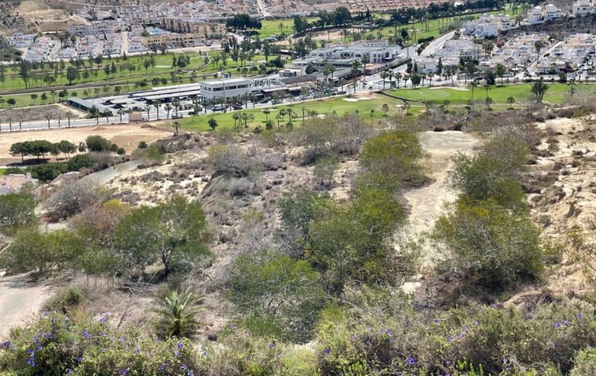 Sale - Villa - Ciudad Quesada