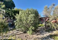 Sale - Country Property - Guardamar del Segura