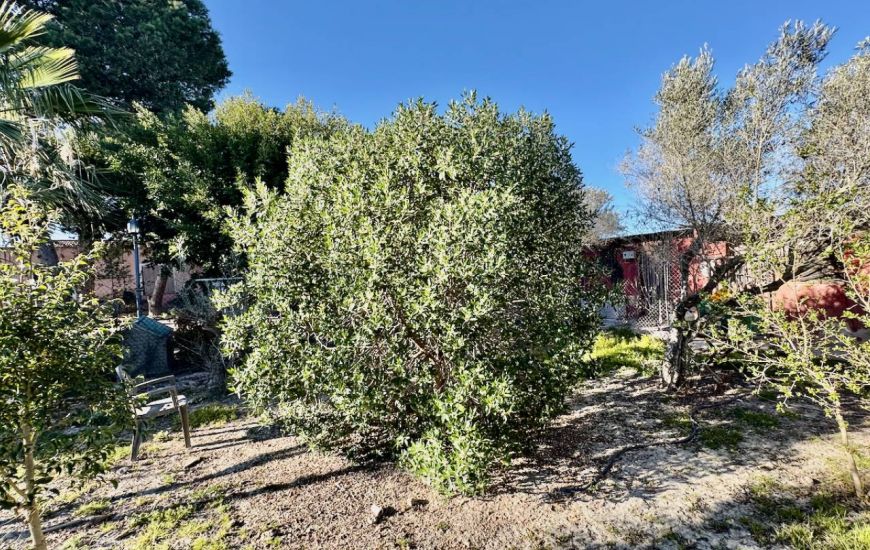 Sale - Country Property - Guardamar del Segura