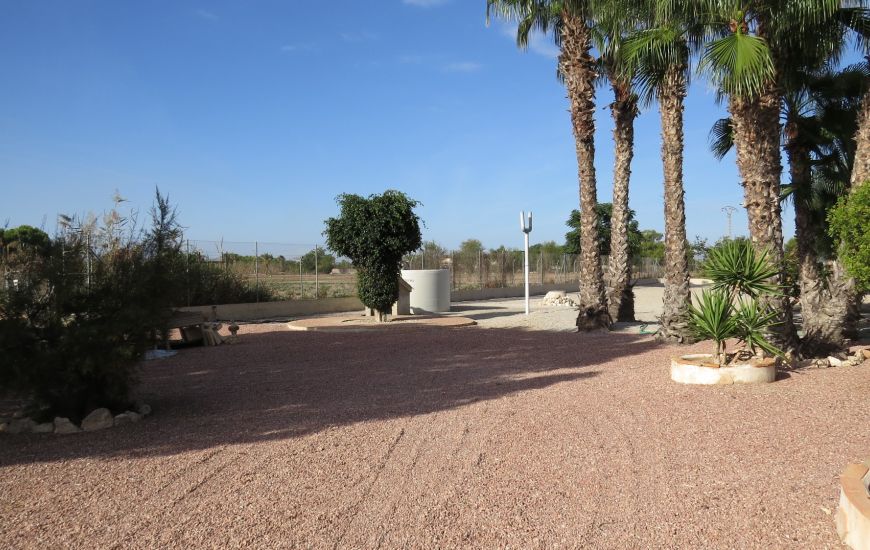 Sale - Finca - Daya Vieja