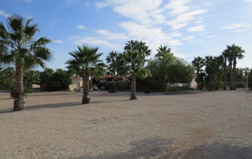 Sale - Finca - Daya Vieja