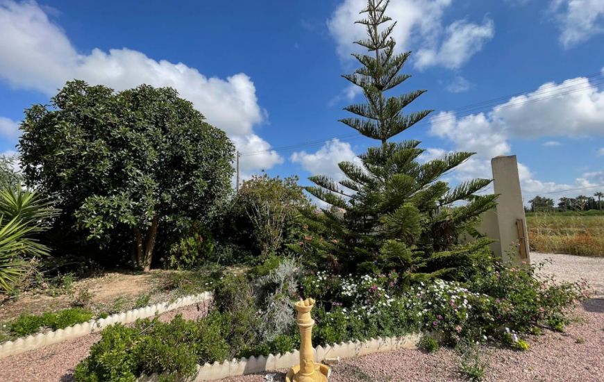 Venta - Villa - Daya Vieja