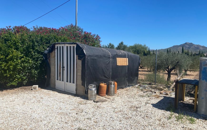 Sale - Finca - Salinas