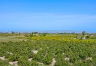 Sale - 1. Apartment / flat - Daya Nueva