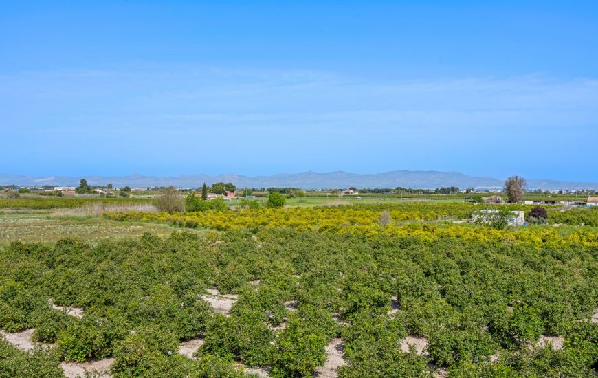 Sale - 1. Apartment / flat - Daya Nueva