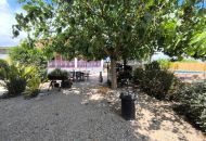 Sale - Finca - Orihuela