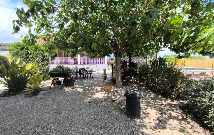 Sale - Finca - Orihuela