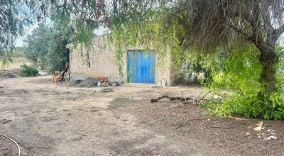 Casa Rural - Venta - Aspe - Aspe