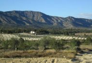 Venta - Casa Rural - Salinas