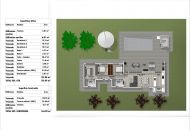 New Build - Villa - Aspe