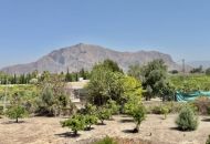 Venta - Apartamentos - Orihuela