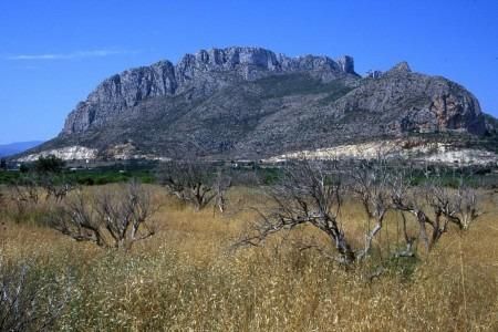 New Build - Apartments - Denia