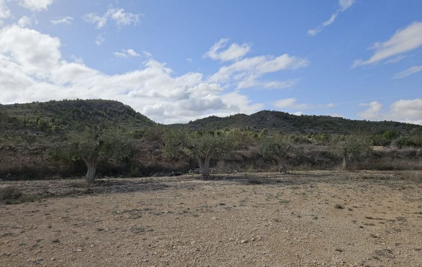 Sale - Country Property - Monovar