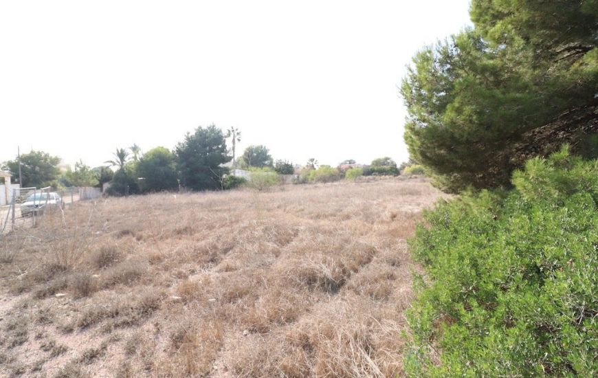 Venta - Terreno - Orihuela Costa