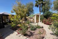 Sale - Finca - Catral