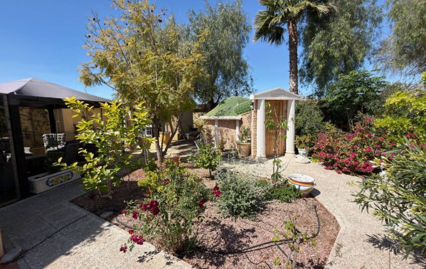 Sale - Finca - Catral