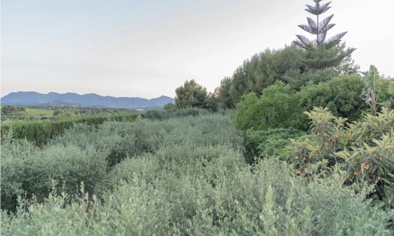 Sale - Villa - 