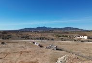 Nueva construcción  - Casa Rural - Pinoso