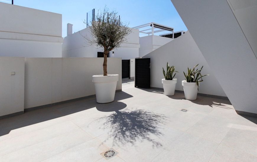 New Build - Villa - Guardamar del Segura