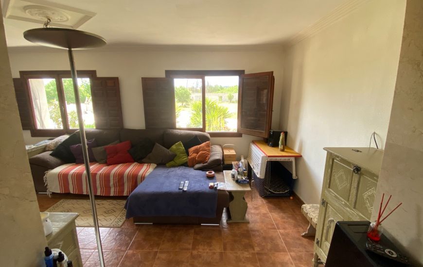 Sale - Finca - Sax