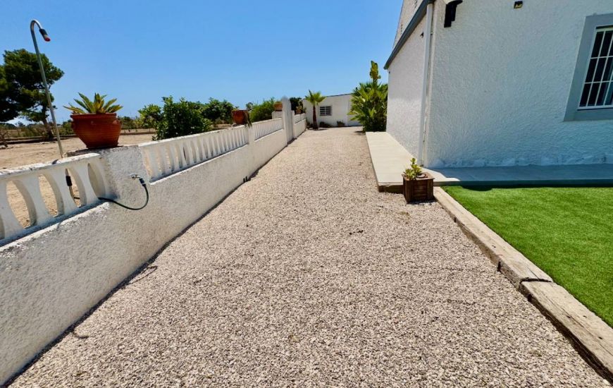 Sale - Finca - Torrellano