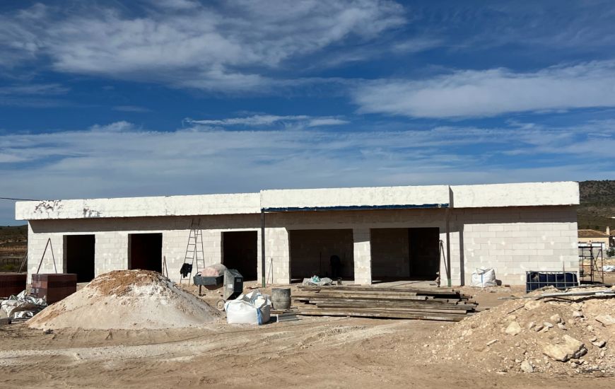 Nueva construcción  - Casa Rural - Pinoso