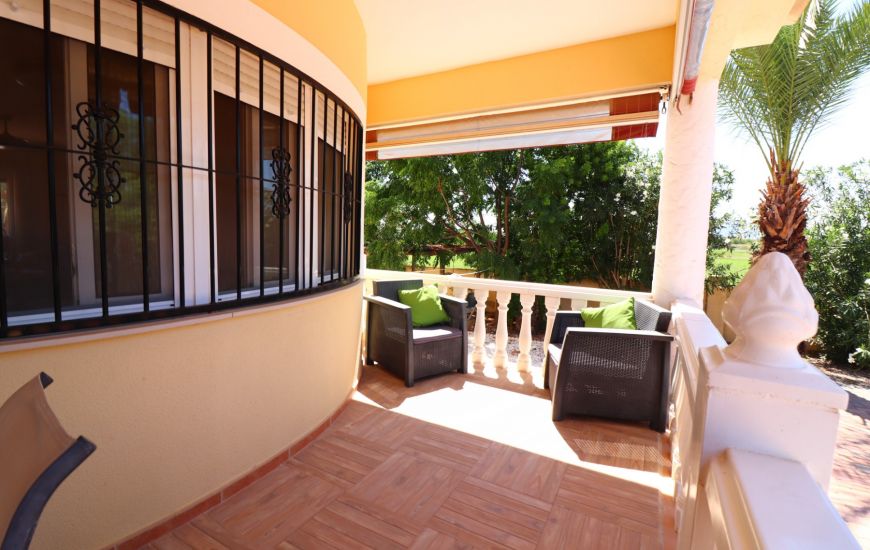 Sale - Finca - Catral