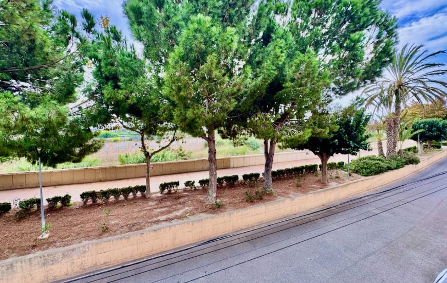 Sale - Apartments - Formentera Del Segura - Formentera del Segura