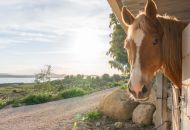 Venta - Villa - Costa Blanca