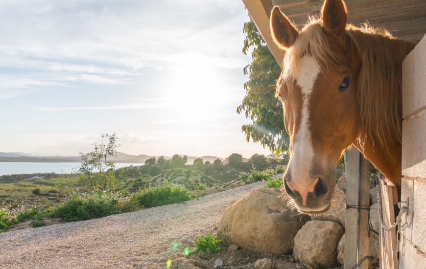 Venta - Villa - Costa Blanca