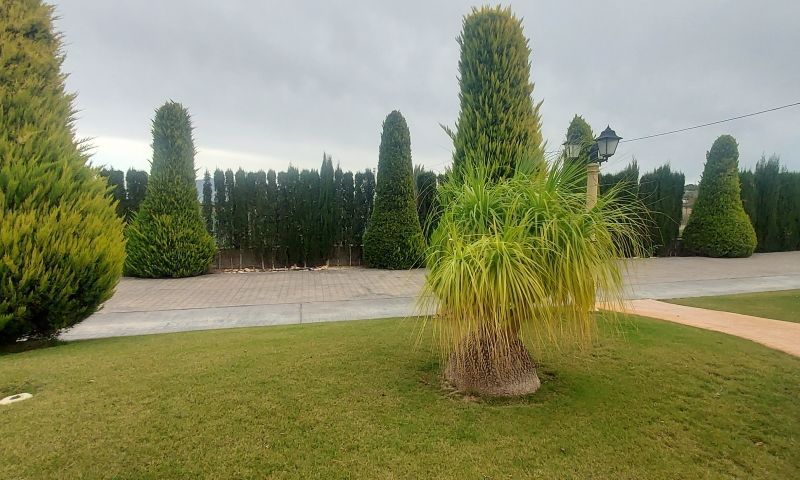 Sale - Villa - Hondón de las Nieves
