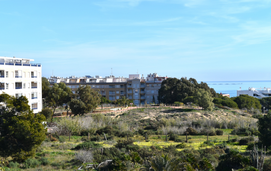 Sale - Townhouse - Guardamar del Segura