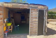 Sale - Finca - Salinas