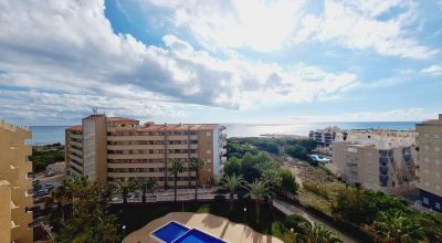 Apartments - Sale - La Mata - La Mata