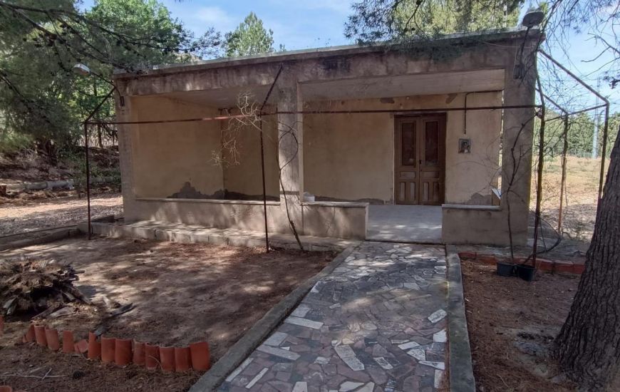 Venta - Casa Rural - Aspe