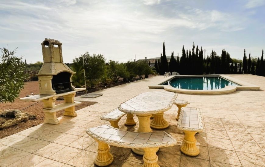 Sale - Finca - Pinoso