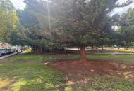 Venta - Apartamento - Torrevieja