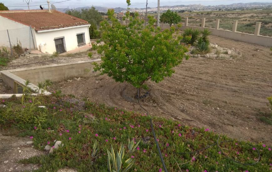 Venta - Casa Rural - Novelda