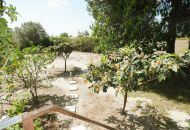 Sale - Finca - Dolores