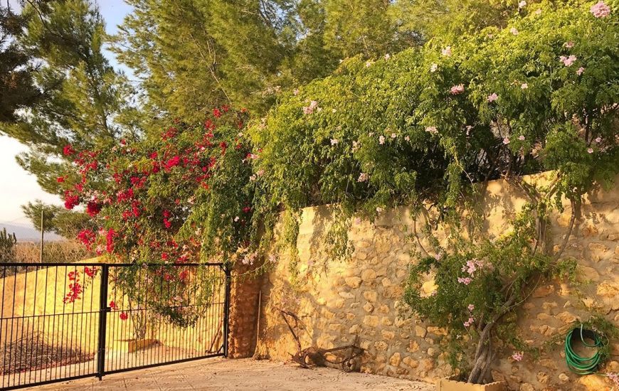 Sale - Villa - Fortuna