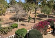 Sale - Apartments - Guardamar del Segura