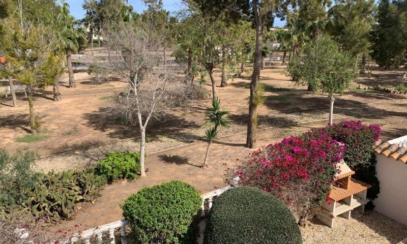 Sale - Apartments - Guardamar del Segura