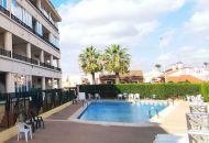 Venta - Apartamentos - Playa Flamenca - Play Flamenca