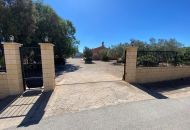 Sale - Finca - Salinas