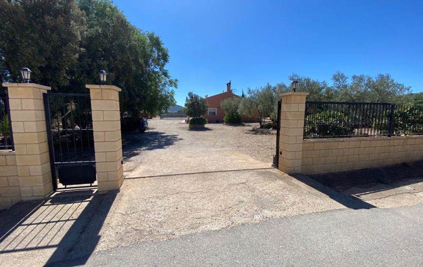 Sale - Finca - Salinas