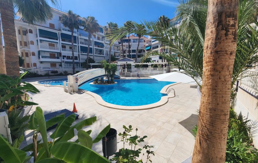 Venta - Apartamentos - La Mata