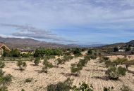 Sale - Finca - Hondon de los Frailes